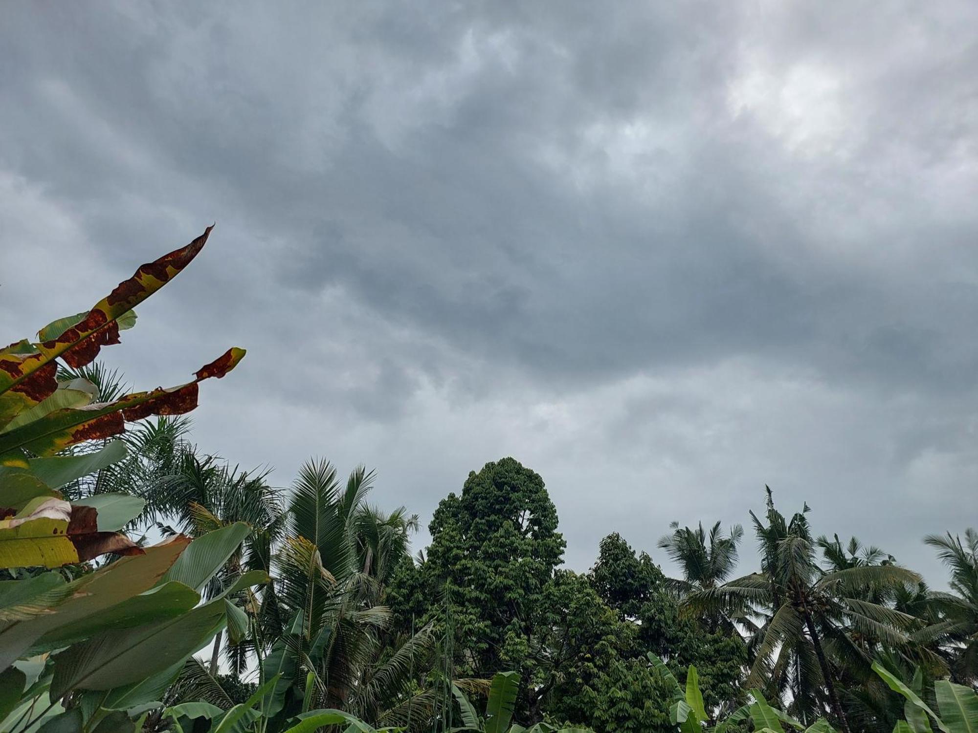 Prema Shiva Suites And Villas By Eps Ubud Eksteriør billede
